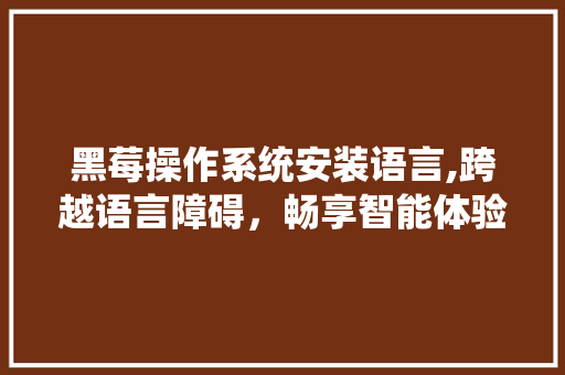 黑莓操作系统安装语言,跨越语言障碍，畅享智能体验