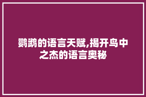 鹦鹉的语言天赋,揭开鸟中之杰的语言奥秘