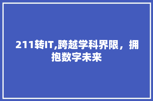 211转IT,跨越学科界限，拥抱数字未来