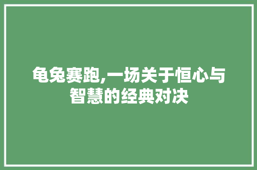 龟兔赛跑,一场关于恒心与智慧的经典对决