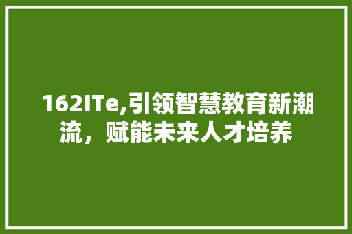 162ITe,引领智慧教育新潮流，赋能未来人才培养 神马SEO