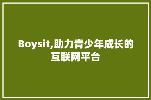 Boysit,助力青少年成长的互联网平台 网站建设公司