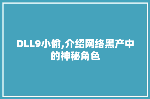 DLL9小偷,介绍网络黑产中的神秘角色