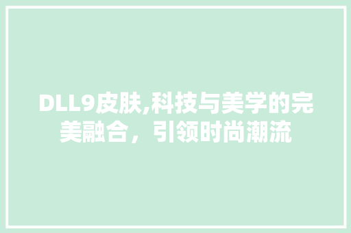 DLL9皮肤,科技与美学的完美融合，引领时尚潮流