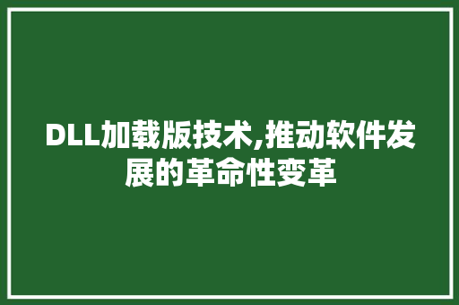 DLL加载版技术,推动软件发展的革命性变革