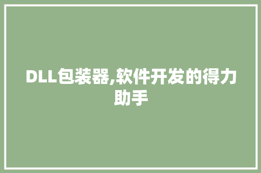 DLL包装器,软件开发的得力助手