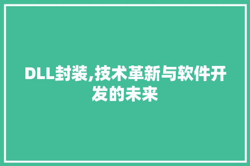 DLL封装,技术革新与软件开发的未来 网站建设公司
