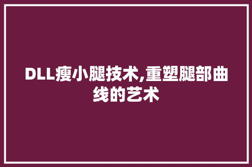 DLL瘦小腿技术,重塑腿部曲线的艺术 必应SEO