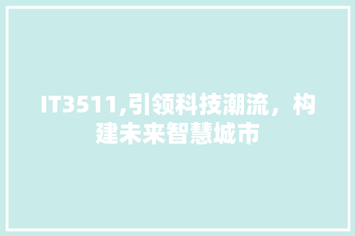 IT3511,引领科技潮流，构建未来智慧城市 神马SEO