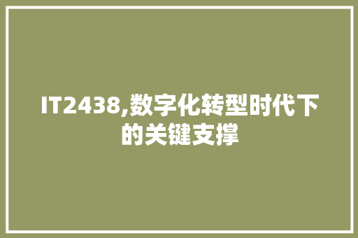 IT2438,数字化转型时代下的关键支撑