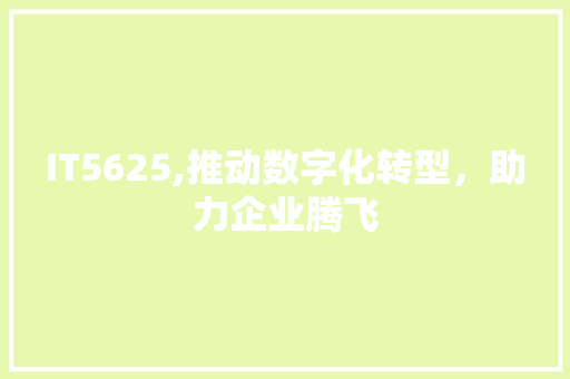IT5625,推动数字化转型，助力企业腾飞 神马SEO