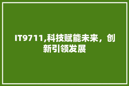 IT9711,科技赋能未来，创新引领发展 必应SEO