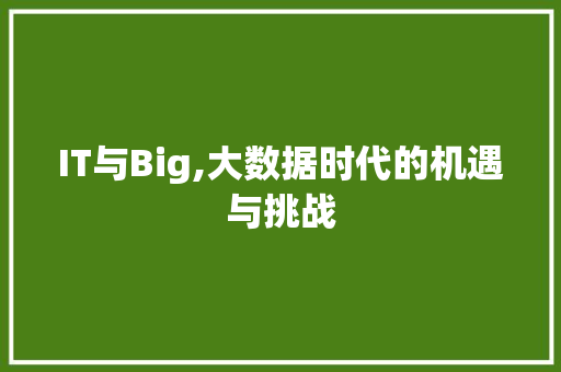 IT与Big,大数据时代的机遇与挑战