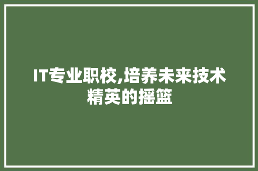 IT专业职校,培养未来技术精英的摇篮
