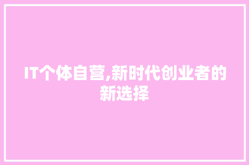 IT个体自营,新时代创业者的新选择 网站建设公司