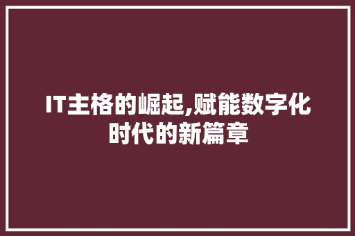 IT主格的崛起,赋能数字化时代的新篇章