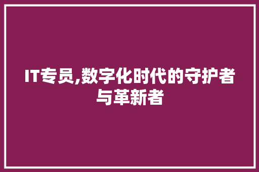 IT专员,数字化时代的守护者与革新者