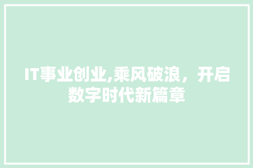 IT事业创业,乘风破浪，开启数字时代新篇章
