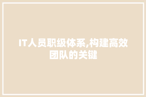 IT人员职级体系,构建高效团队的关键 必应SEO
