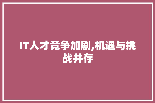 IT人才竞争加剧,机遇与挑战并存