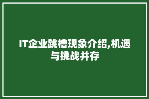 IT企业跳槽现象介绍,机遇与挑战并存 神马SEO