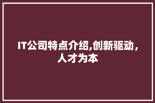 IT公司特点介绍,创新驱动，人才为本