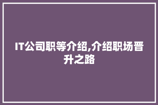IT公司职等介绍,介绍职场晋升之路