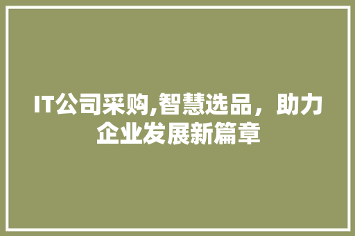 IT公司采购,智慧选品，助力企业发展新篇章