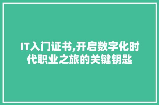 IT入门证书,开启数字化时代职业之旅的关键钥匙 SEO关键词