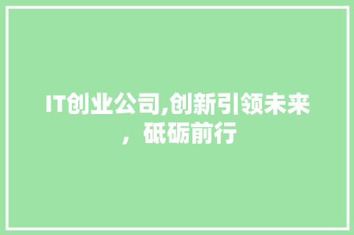 IT创业公司,创新引领未来，砥砺前行