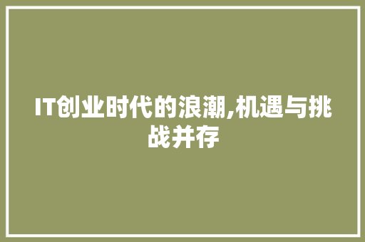 IT创业时代的浪潮,机遇与挑战并存