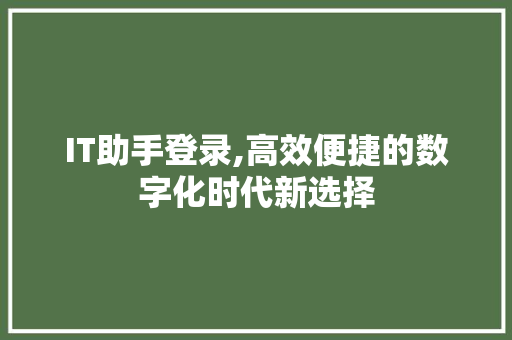 IT助手登录,高效便捷的数字化时代新选择