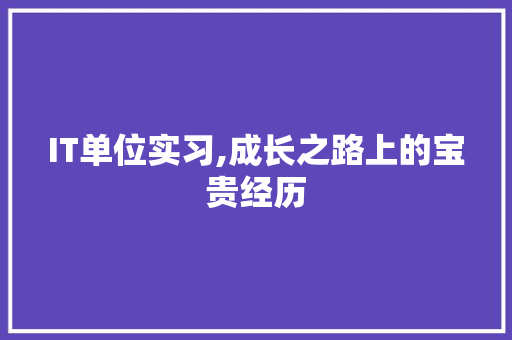 IT单位实习,成长之路上的宝贵经历