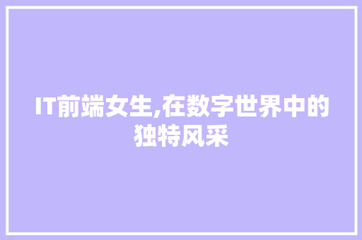 IT前端女生,在数字世界中的独特风采 百度SEO