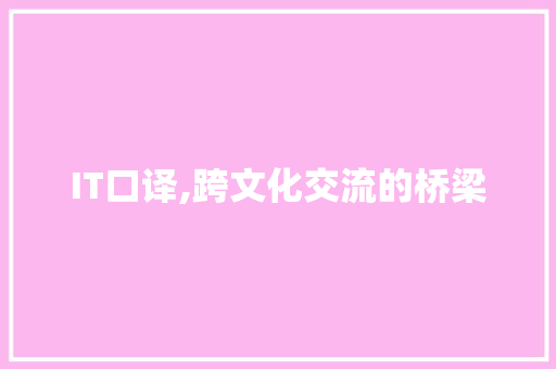 IT口译,跨文化交流的桥梁