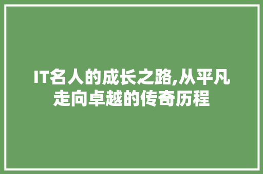 IT名人的成长之路,从平凡走向卓越的传奇历程