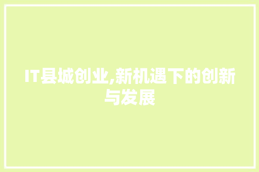 IT县城创业,新机遇下的创新与发展