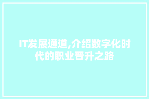 IT发展通道,介绍数字化时代的职业晋升之路