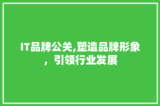 IT品牌公关,塑造品牌形象，引领行业发展 搜狗SEO