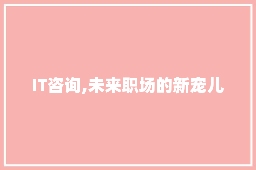 IT咨询,未来职场的新宠儿