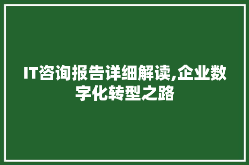 IT咨询报告详细解读,企业数字化转型之路