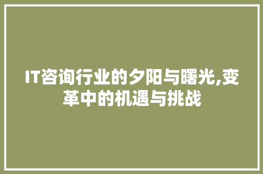 IT咨询行业的夕阳与曙光,变革中的机遇与挑战