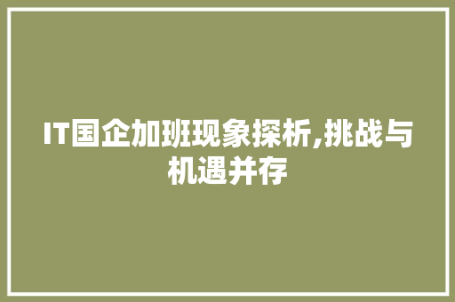 IT国企加班现象探析,挑战与机遇并存