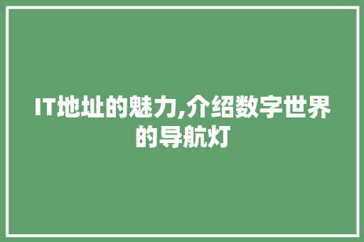 IT地址的魅力,介绍数字世界的导航灯