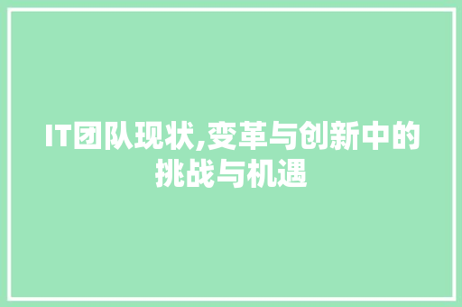IT团队现状,变革与创新中的挑战与机遇