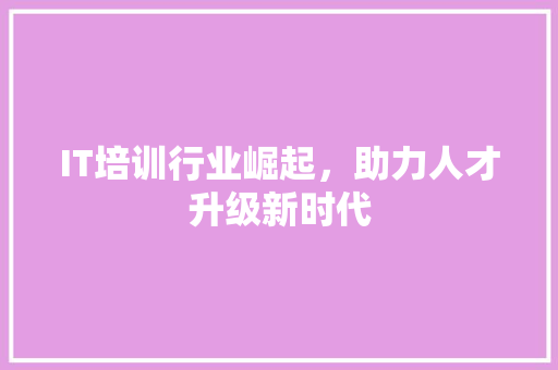 IT培训行业崛起，助力人才升级新时代 神马SEO