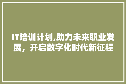 IT培训计划,助力未来职业发展，开启数字化时代新征程 网站建设公司