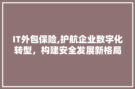 IT外包保险,护航企业数字化转型，构建安全发展新格局