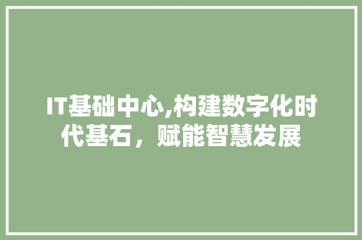 IT基础中心,构建数字化时代基石，赋能智慧发展
