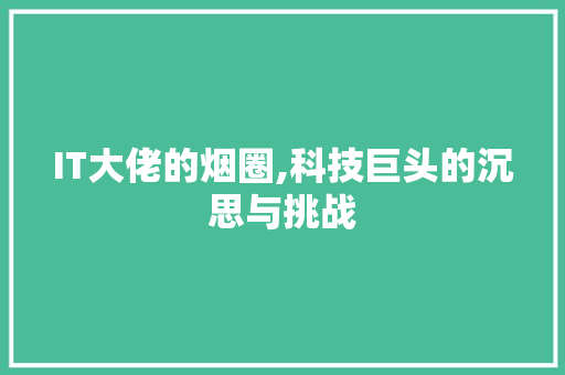 IT大佬的烟圈,科技巨头的沉思与挑战